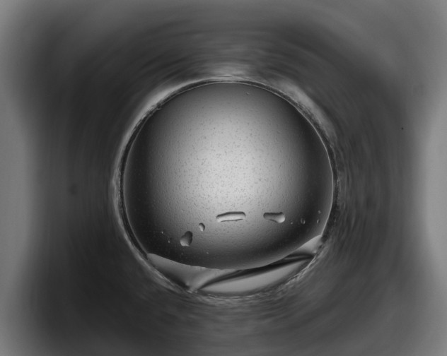 X0000097841432200803201509