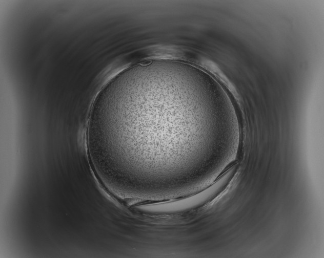 X0000097841433200803201509