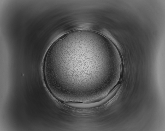 X0000097841434200803201509