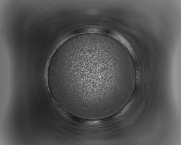 X0000097841435200803201509