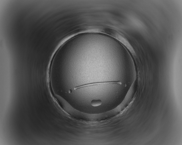 X0000097841436200803201509