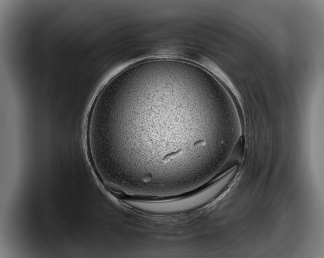 X0000097841437200803201509