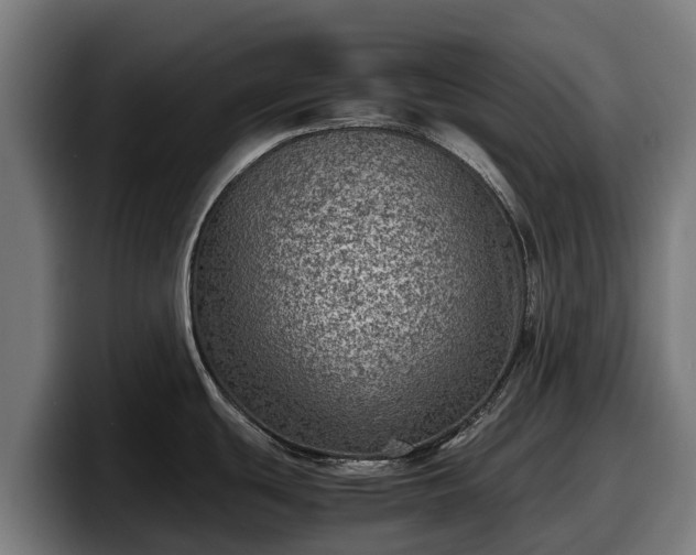 X0000097841439200803201509