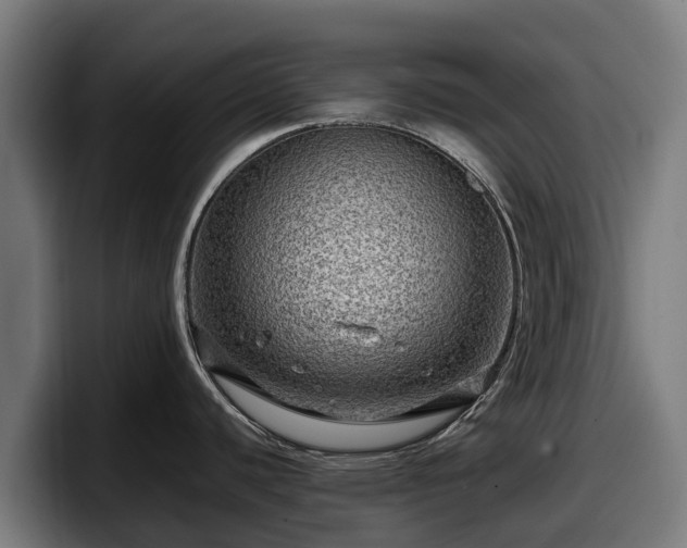 X0000097841440200803201509
