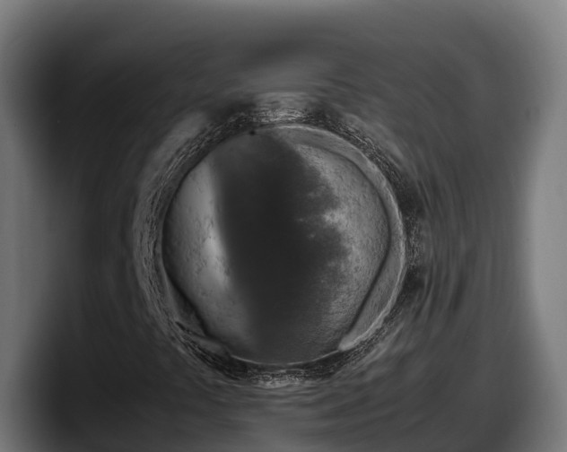 X0000097841441200803201508