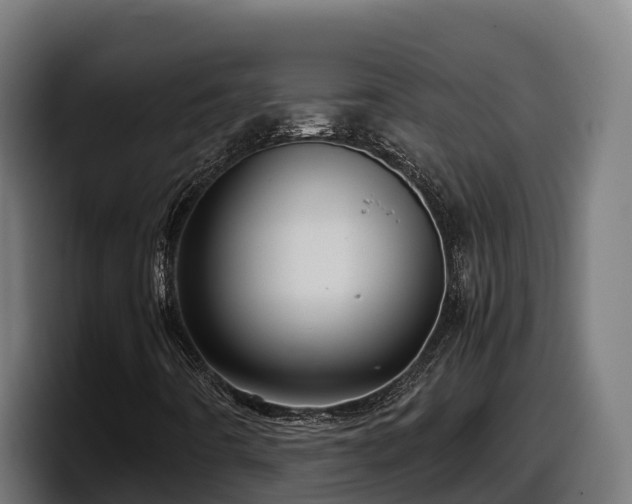 X0000097841442200803201508