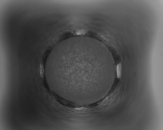 X0000097841443200803201508