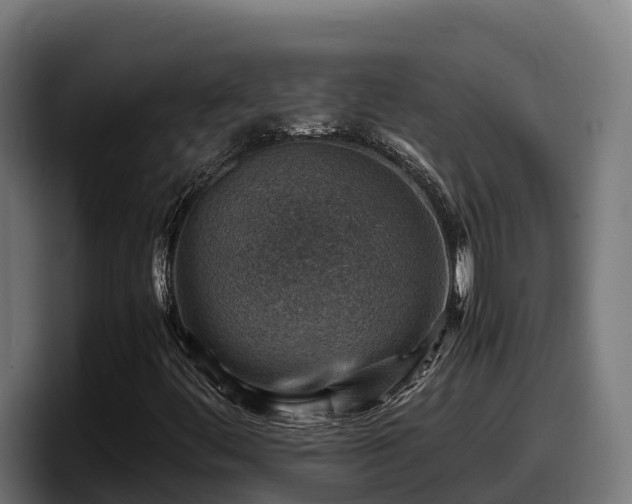 X0000097841444200803201508