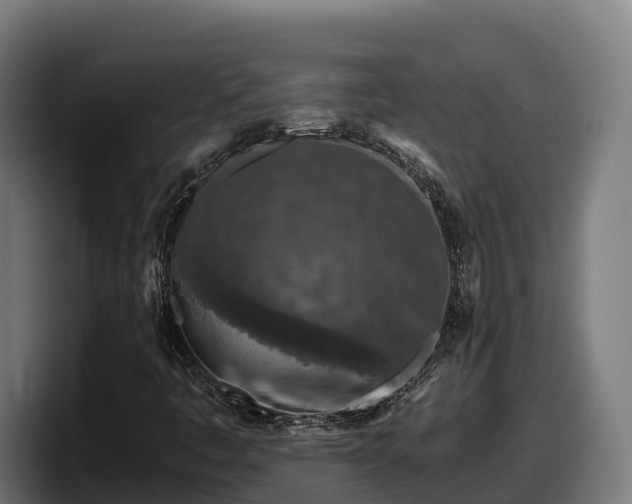 X0000097841445200803201508