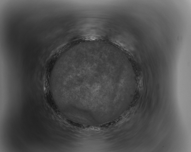 X0000097841446200803201508