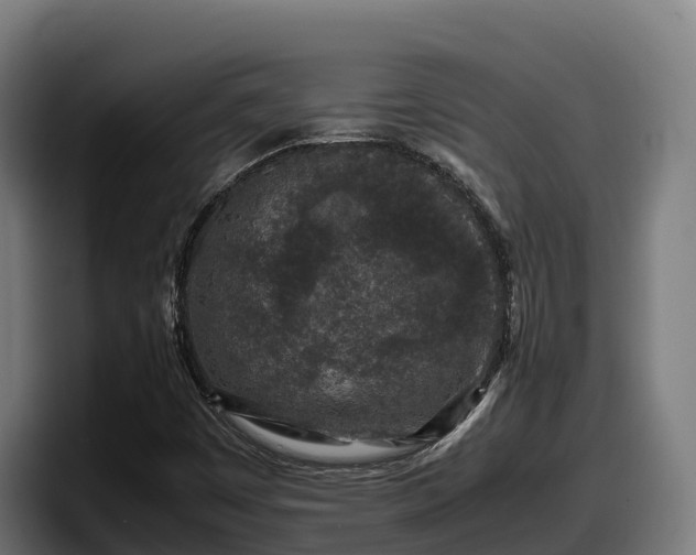 X0000097841449200803201508