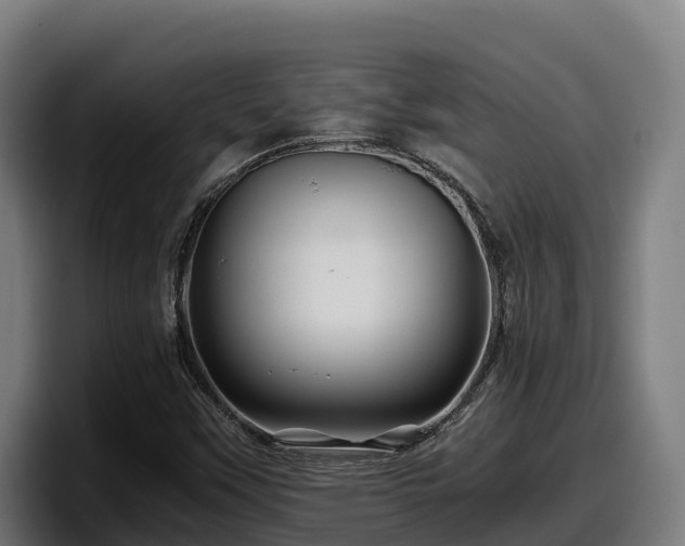 X0000097841451200803201508