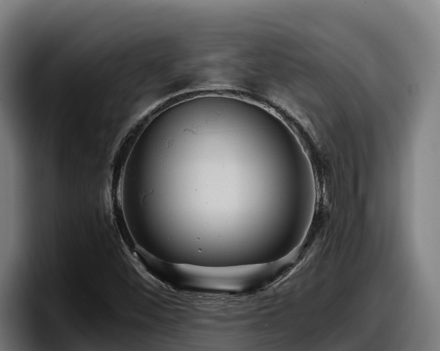 X0000097841452200803201508