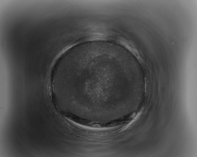 X0000097841453200803201508