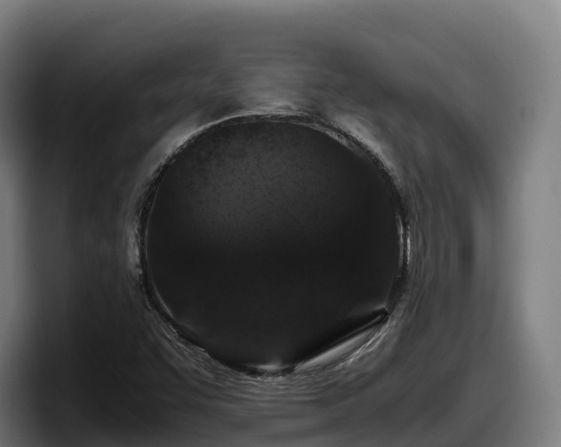 X0000097841455200803201508