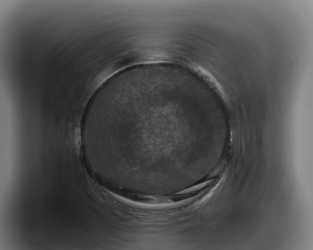 X0000097841457200803201508