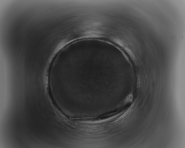 X0000097841459200803201508