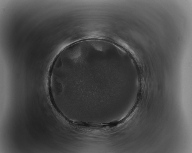 X0000097841463200803201508