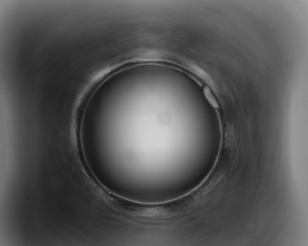 X0000097841464200803201508