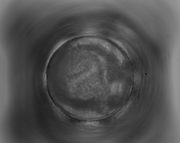 X0000097841466200803201508