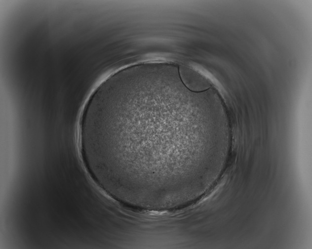 X0000097841467200803201508