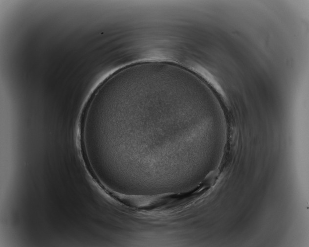 X0000097841468200803201508