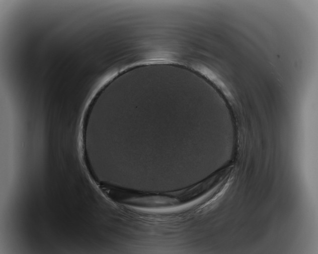 X0000097841469200803201508