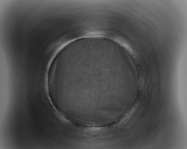 X0000097841470200803201508