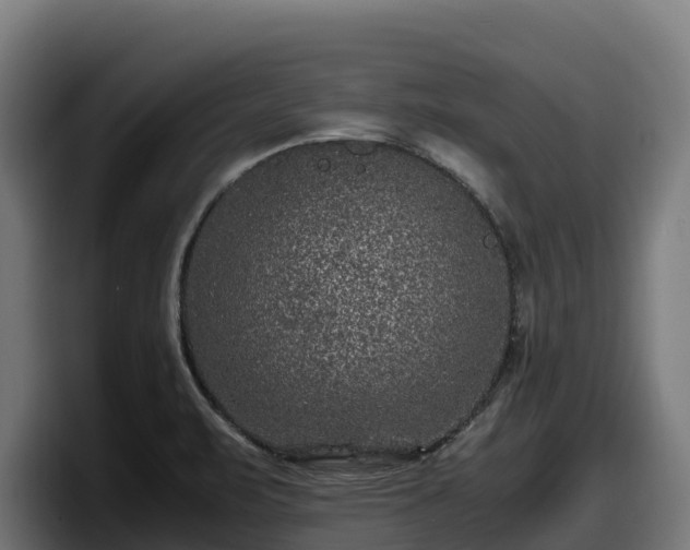 X0000097841471200803201508