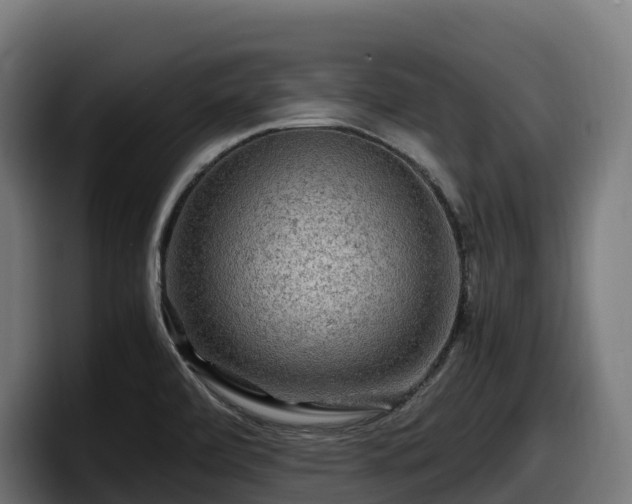 X0000097841472200803201508