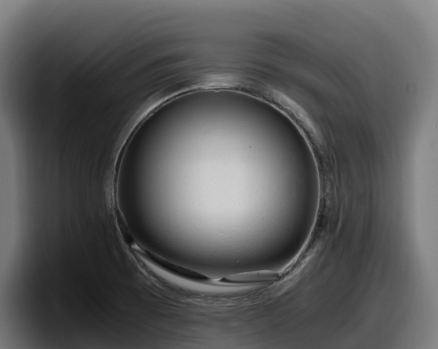 X0000097841473200803201508