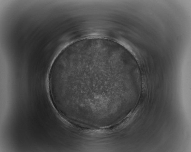 X0000097841474200803201508