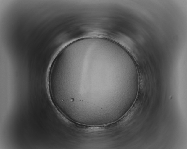 X0000097841478200803201508