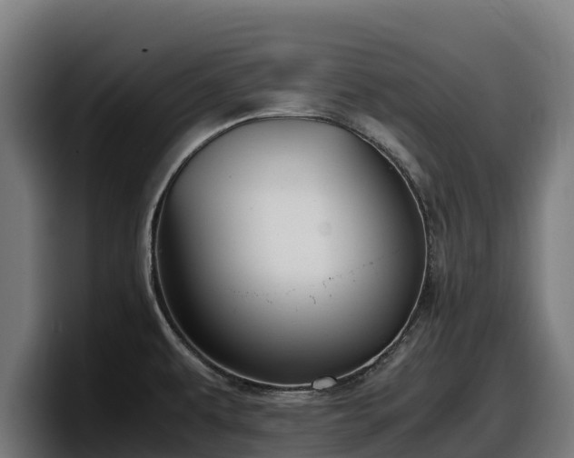 X0000097841479200803201508