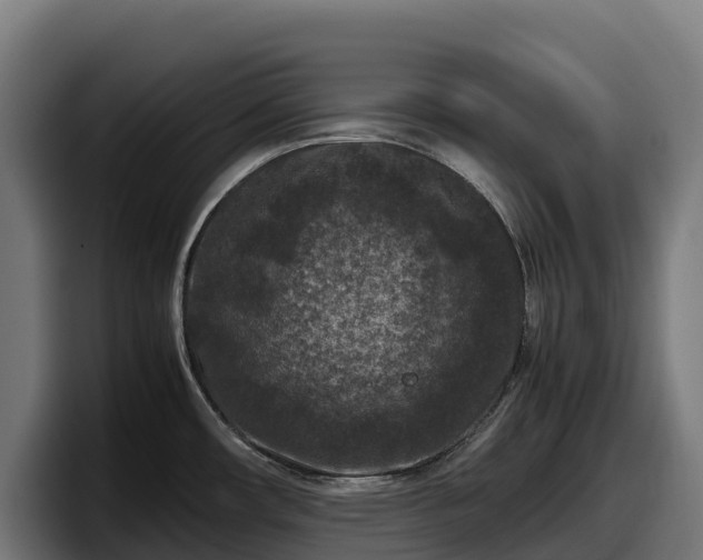 X0000097841482200803201508