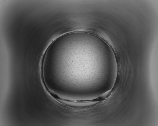 X0000097841483200803201508