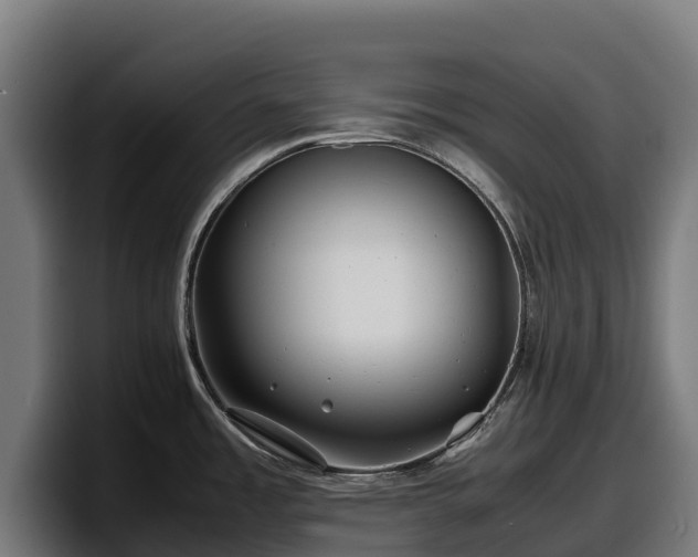 X0000097841485200803201508
