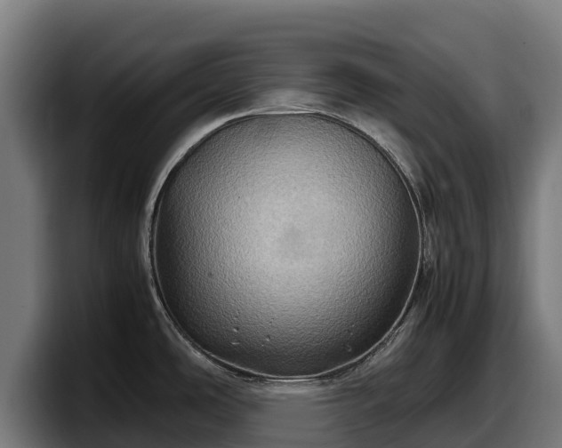 X0000097841486200803201508