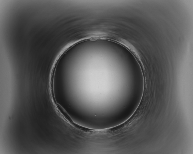 X0000097841488200803201508