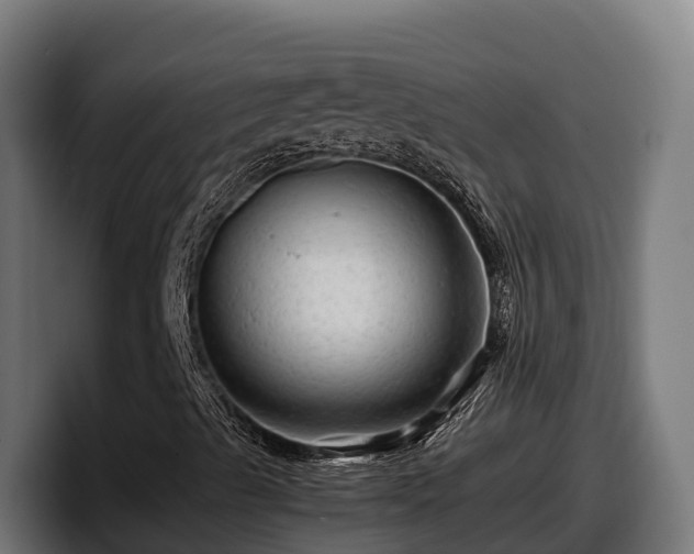 X0000097841489200803201507