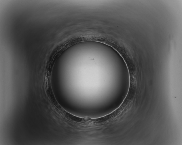 X0000097841493200803201507
