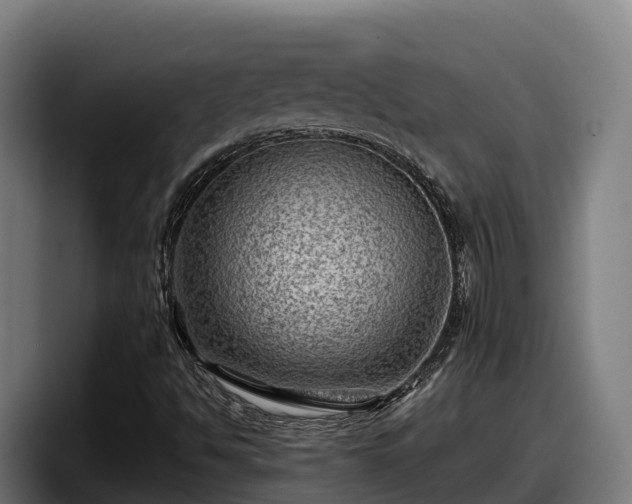 X0000097841494200803201507