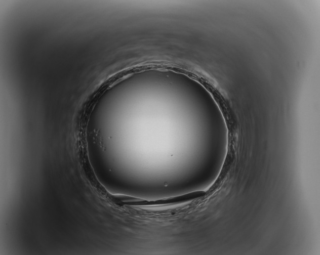 X0000097841496200803201507