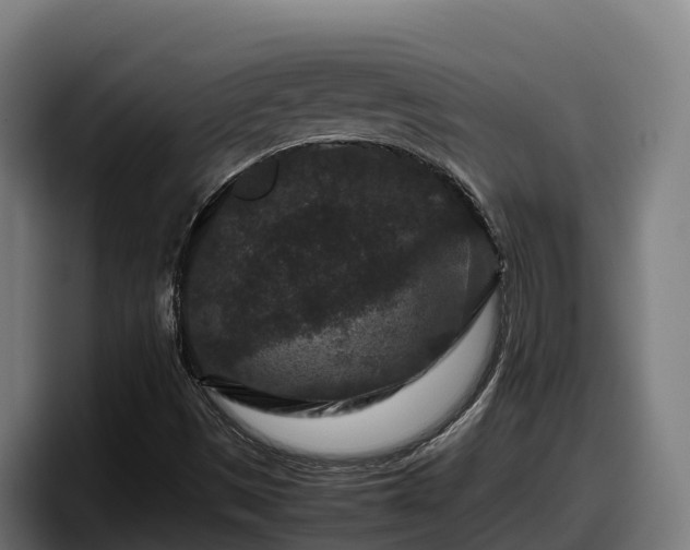 X0000097841497200803201507