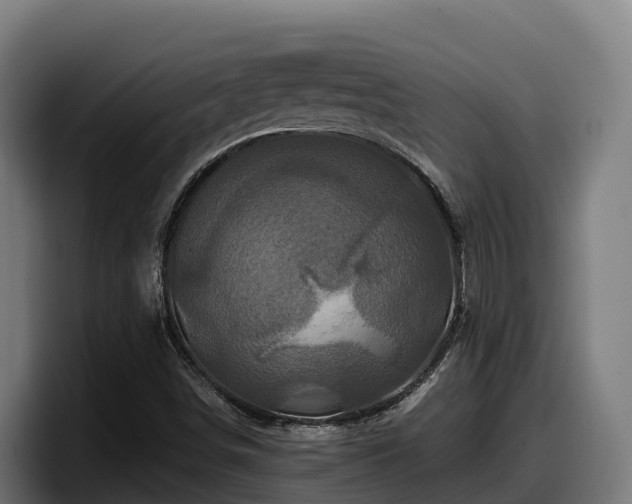 X0000097841498200803201507