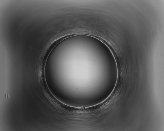 X0000097841499200803201507
