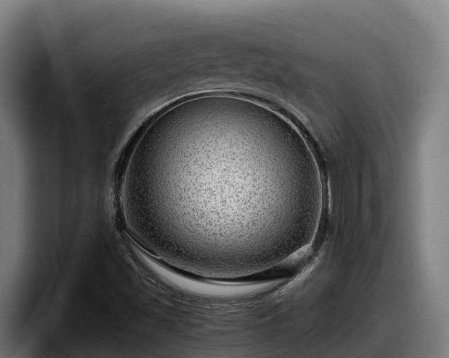 X0000097841501200803201507