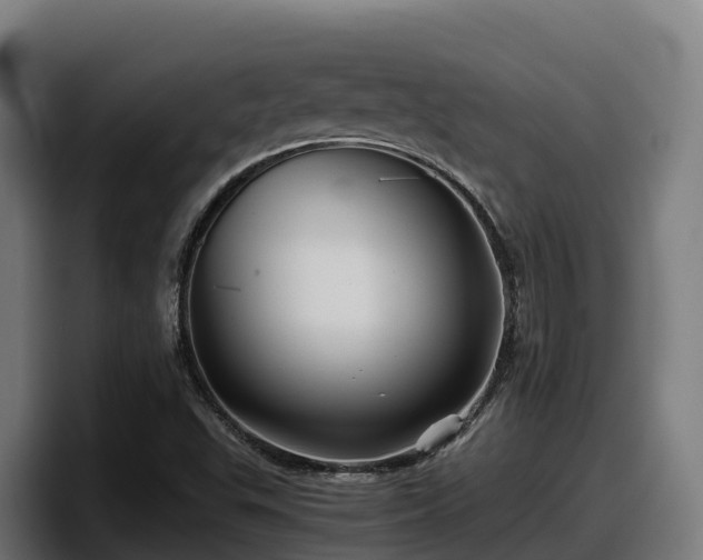 X0000097841503200803201507