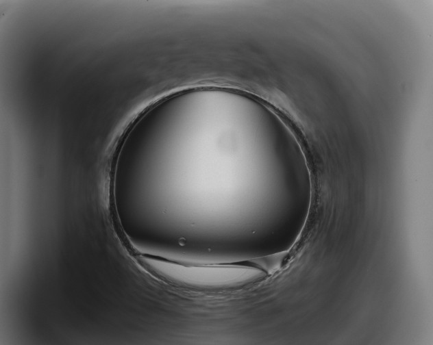 X0000097841504200803201507