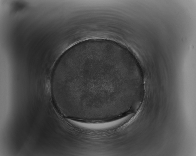 X0000097841505200803201507